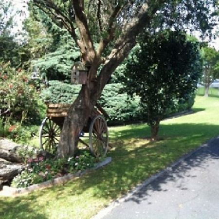 Dargaville Motel Zewnętrze zdjęcie